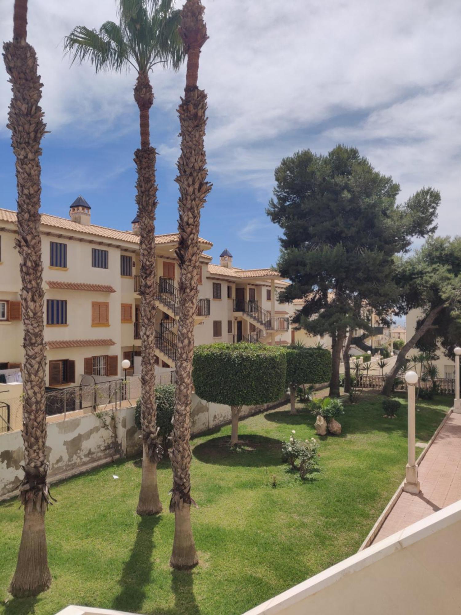 Apartamentos Soleados Cerca De La Playa La Mata トレビエハ エクステリア 写真
