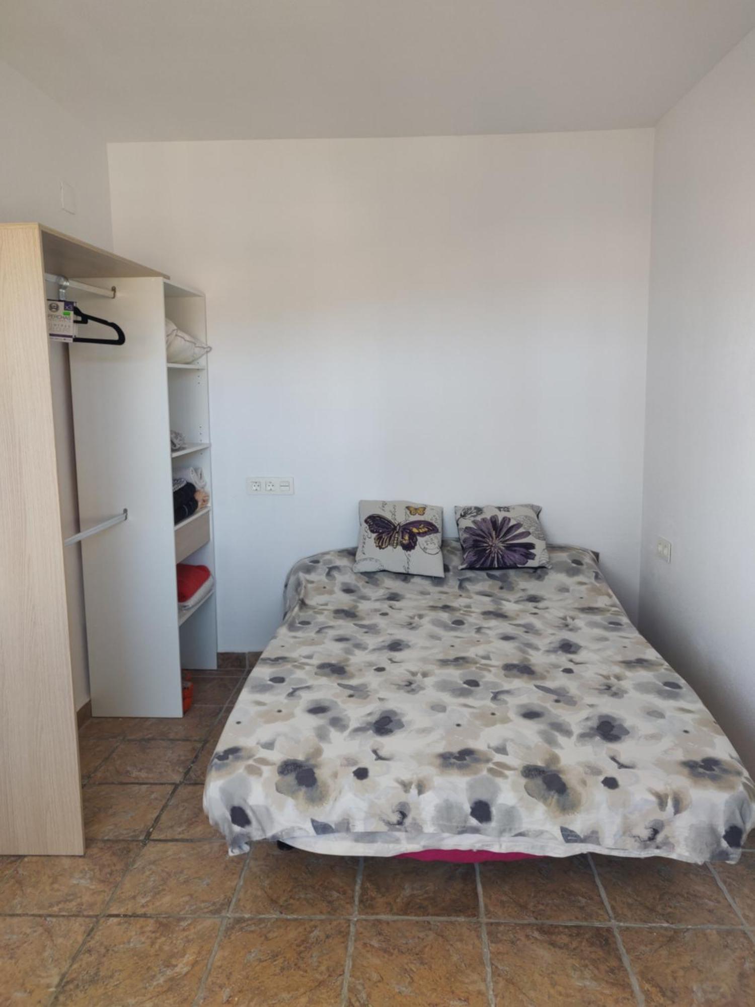 Apartamentos Soleados Cerca De La Playa La Mata トレビエハ エクステリア 写真