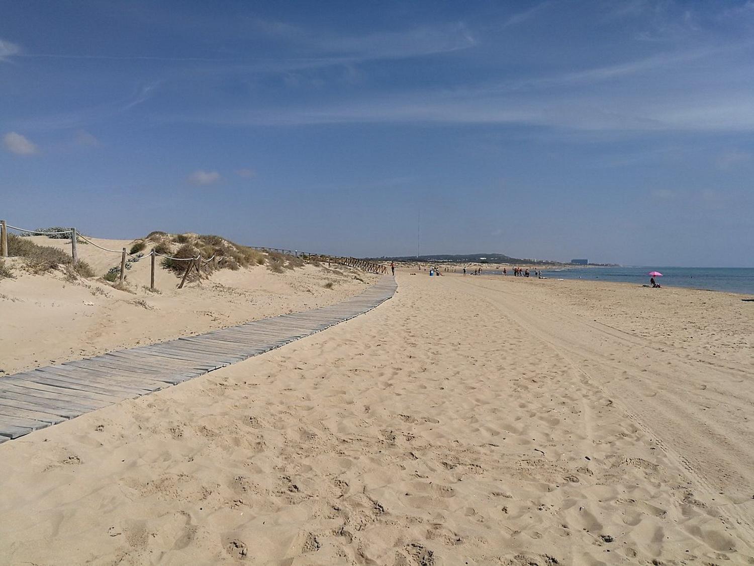 Apartamentos Soleados Cerca De La Playa La Mata トレビエハ エクステリア 写真